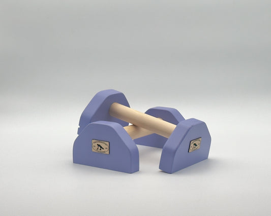 VertiParallettes™ – Handmade Wooden Parallettes - VertiGrip Lilac